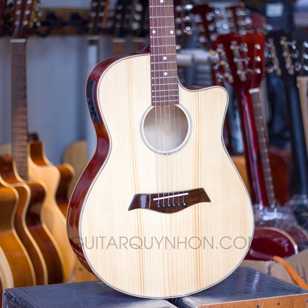 Guitar Acoustic QE6A EQ