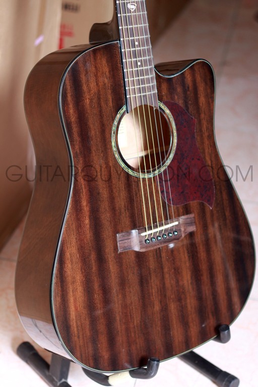 Guitar Acoustic 
