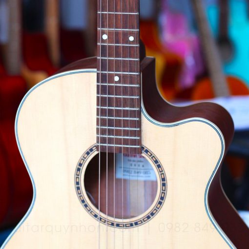 Guitar Acoustic QH6A EQ