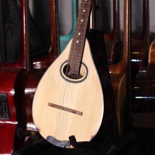 Đàn mandolin M1