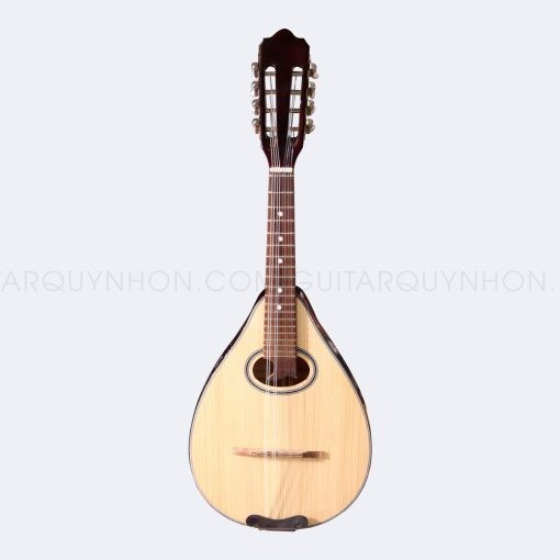 Đàn mandolin M1