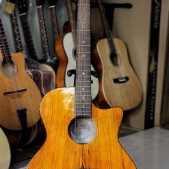 Guitar Acoustic Luna EQ