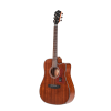 Guitar Acoustic Mantic AG380C