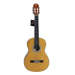 Guitar Classic Guson